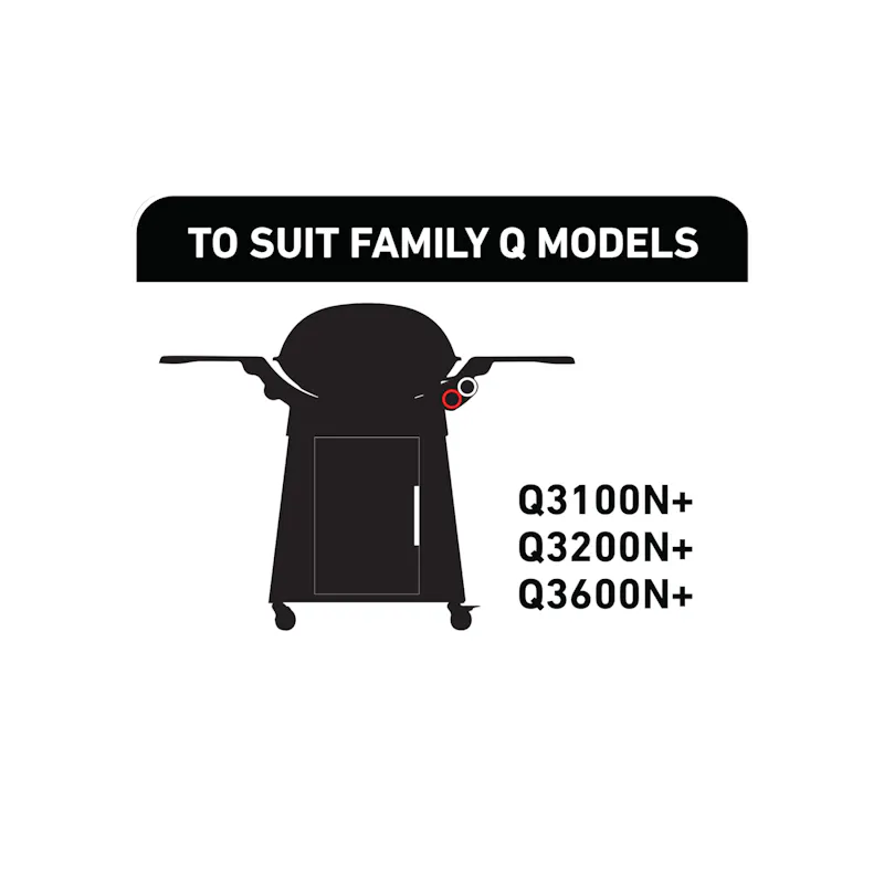 Weber Family Q Starter Pack 3000N Series image 1